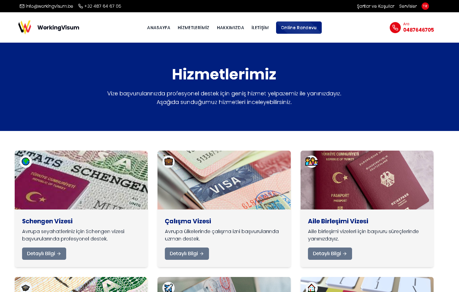 WorkingVisum